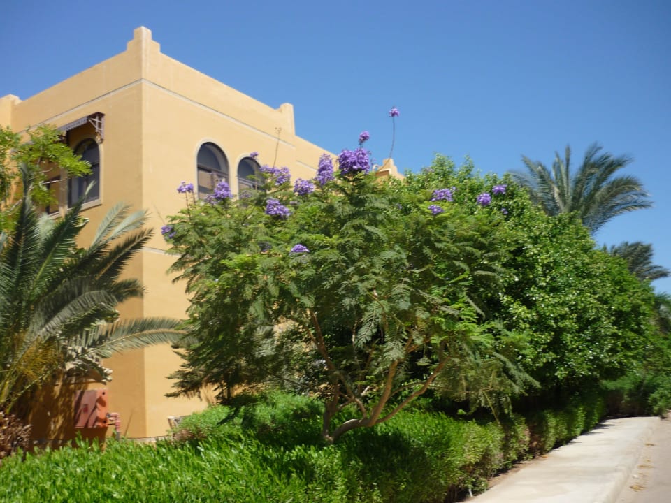 Спа центр Stella Beach Resort & Spa Makadi Bay