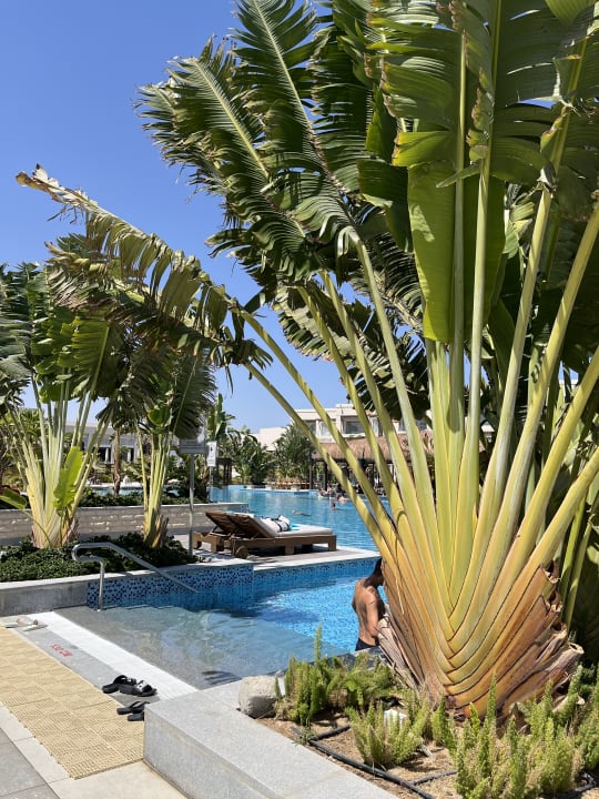 Pool Steigenberger Resort Ras Soma