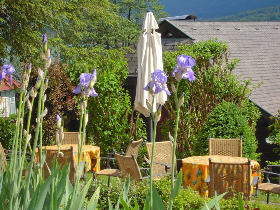 Gartenanlage Seehotel Ressmann