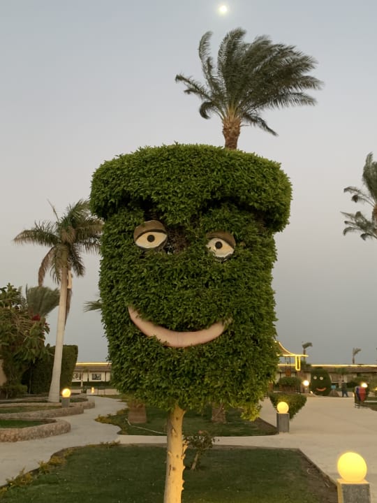 Gartenanlage Ali Baba Palace Resort