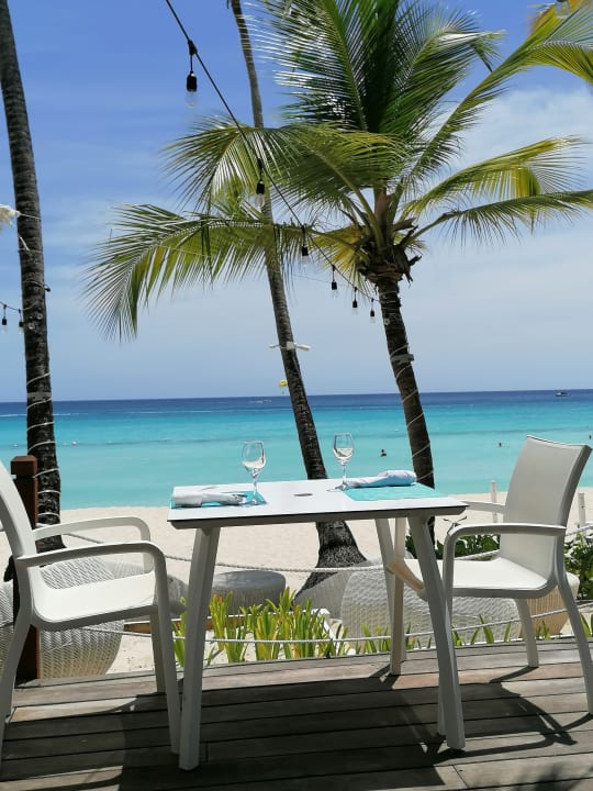 Gastro Catalonia Royal La Romana - Adults only