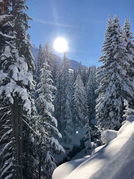 Ausblick AROSA ALPINE CLUB - Adults only