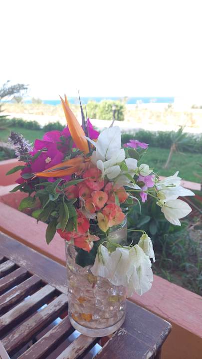 Zimmer Malikia Resort Abu Dabbab