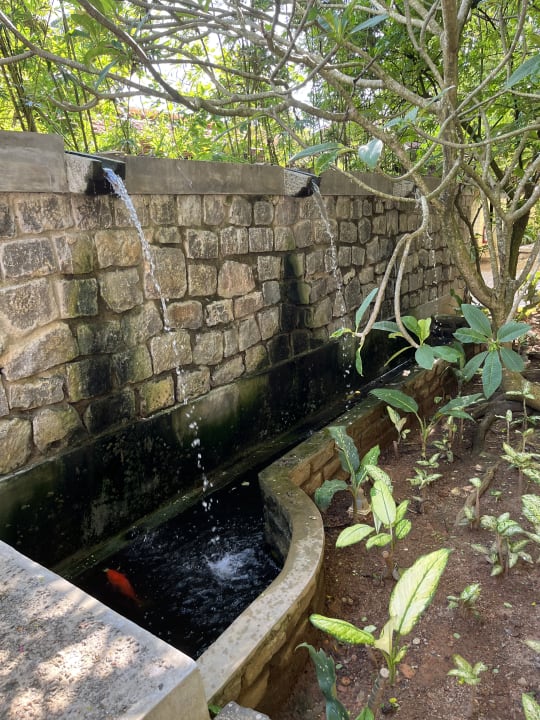 Gartenanlage Roman Life Ayurveda Beach Resort