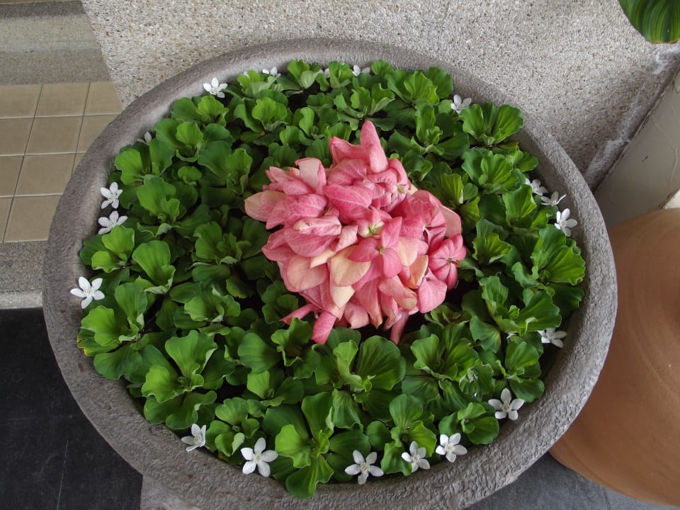 Am Hoteleingang  Cape Panwa Hotel