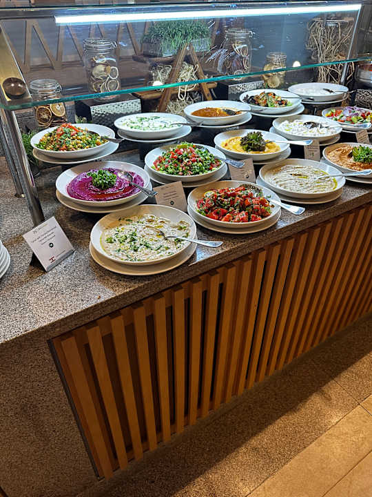 Gastro JAZ Elite Asteria