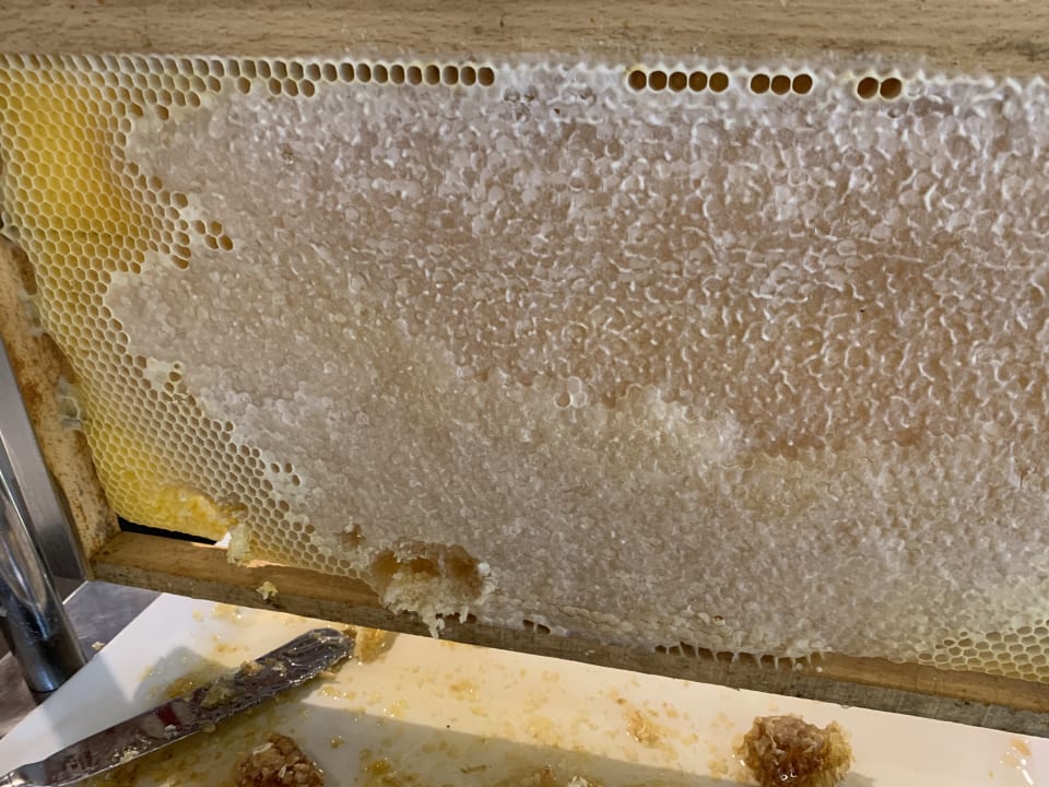 Gastro The Land of Legends Kingdom Hotel