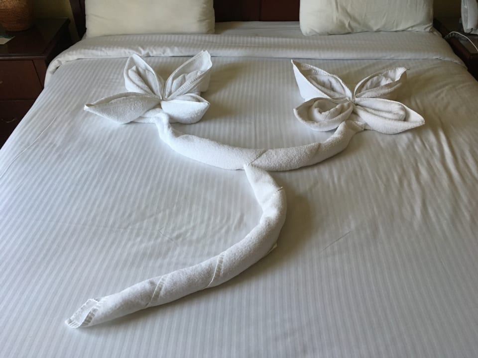 Zimmer Marina Resort Port Ghalib, a member of Radisson Individuals