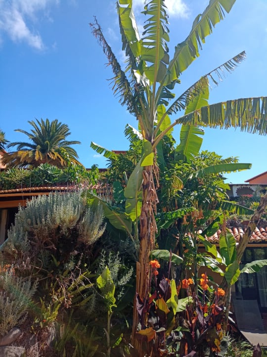 Gartenanlage Hotel Quinta Splendida Wellness & Botanical Garden