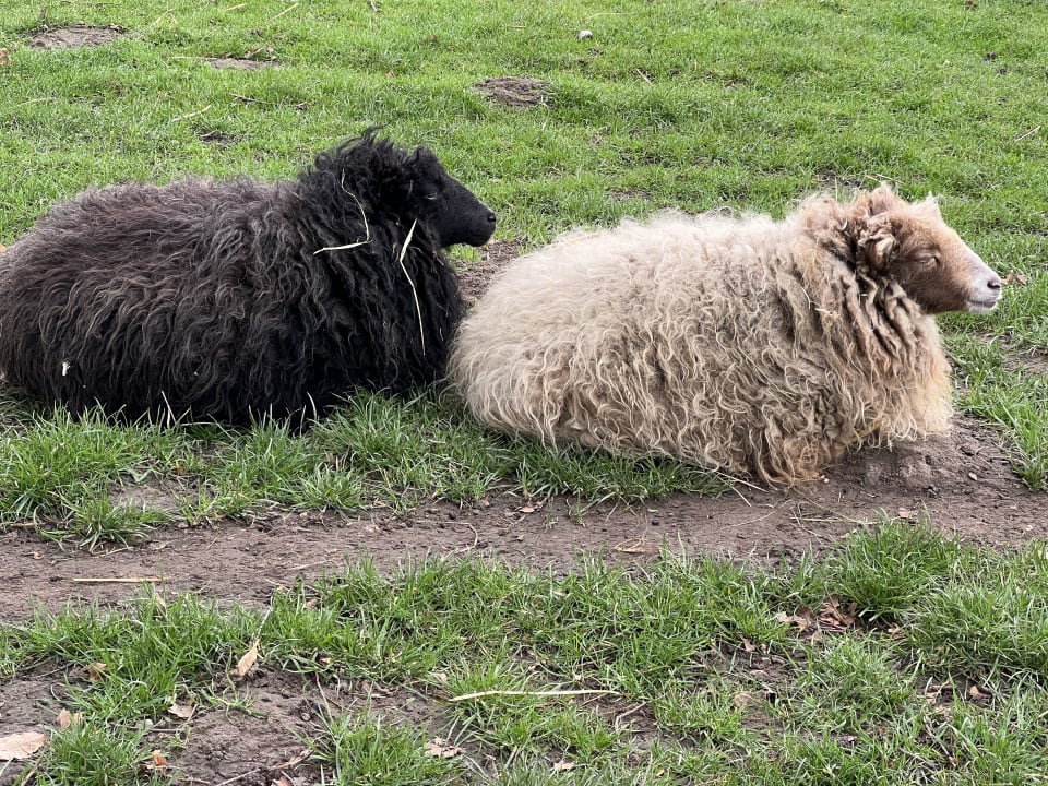 Sport & Freizeit Ferienhof Harms GbR