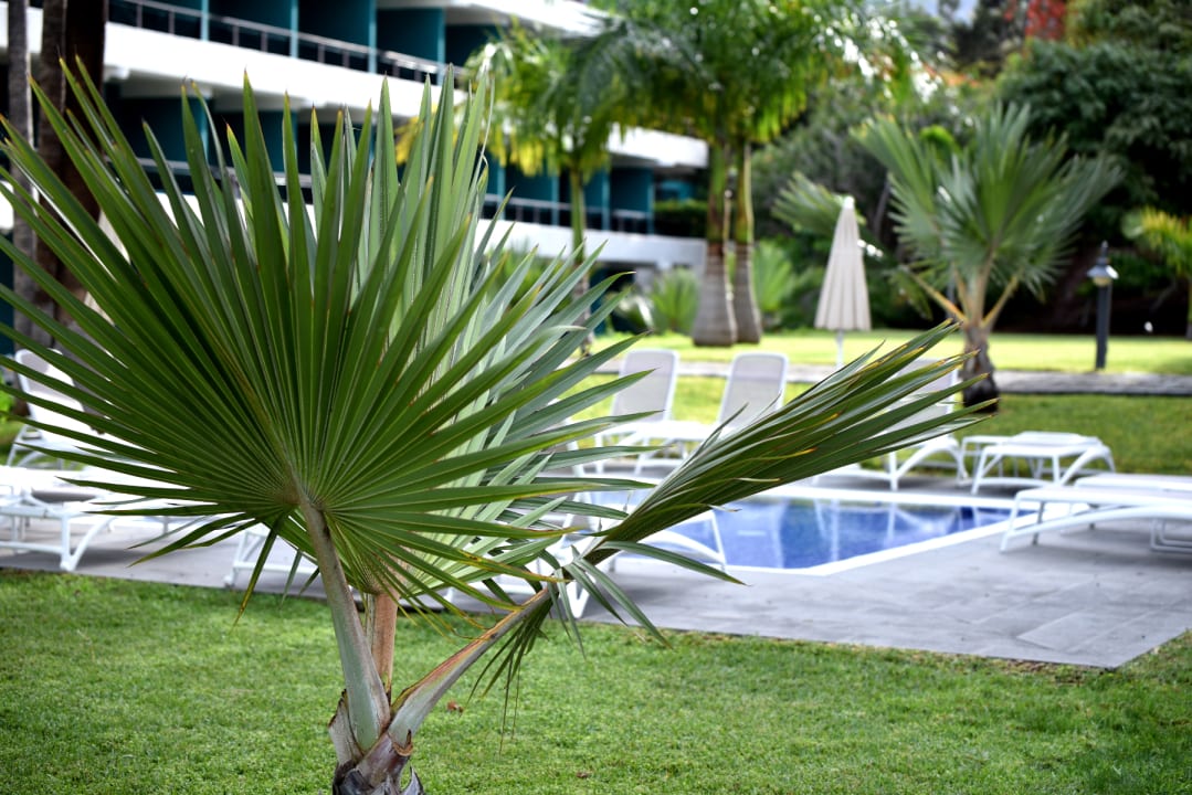 Gartenanlage TRH Taoro Garden