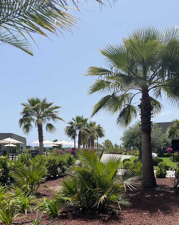 Gartenanlage Jacaranda Luxury Resort