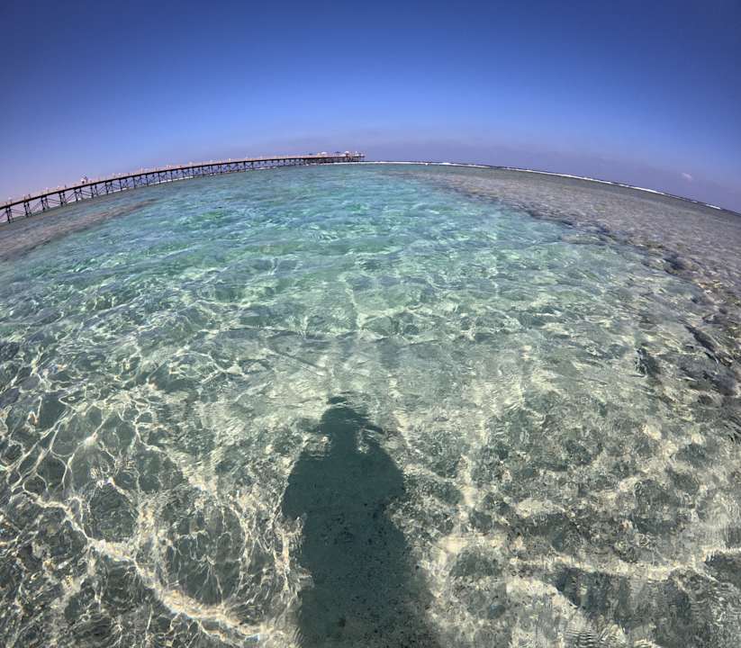 Strand Pickalbatros Sea World Resort - Marsa Alam