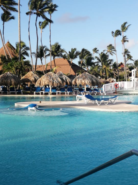 Pool Vik Hotel Arena Blanca Bavaro • Holidaycheck Dominikanische Republik Ostküste 2124