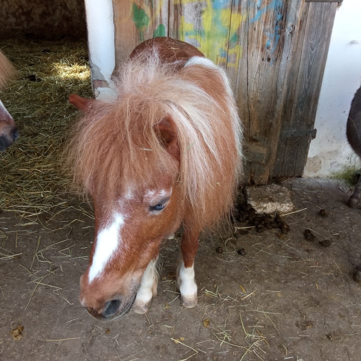 Sonstiges Hotel Reiterhof Altmühlsee