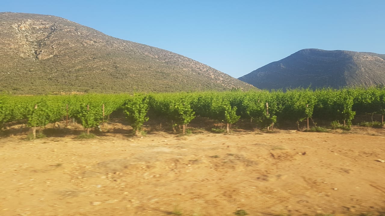 Garten Wine Farm Wederom