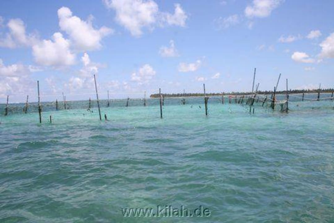 Der abgesperrte Haibereich Grand Palladium Select Bávaro Resort & Spa