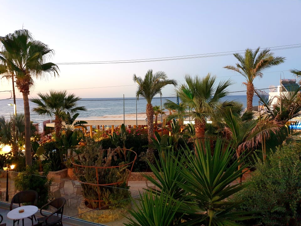 Außenansicht Cactus Beach