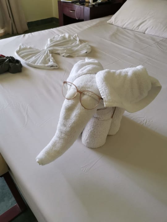 Zimmer Sentido Akassia Beach