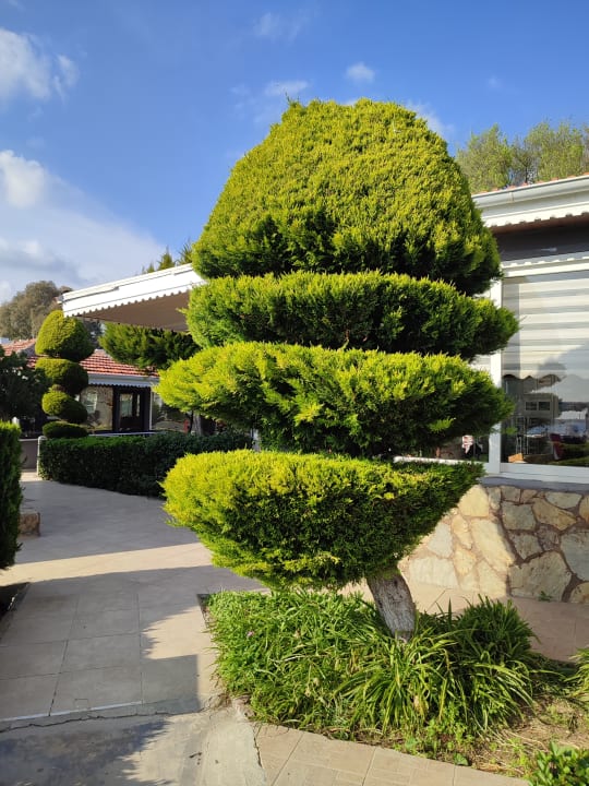 Gartenanlage Side Altinkum Hotel