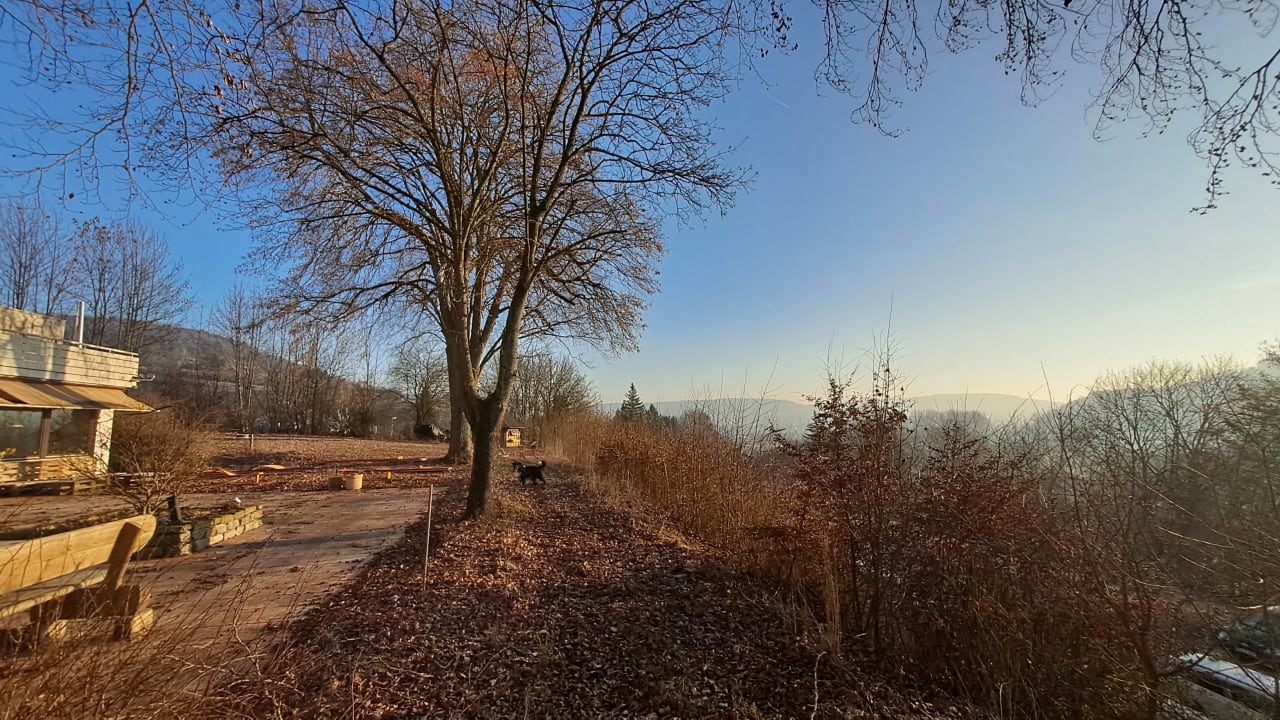 Ausblick Vitalhotel König am Park