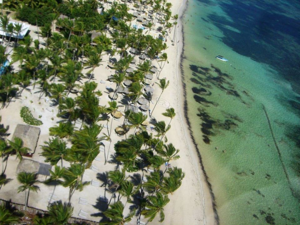 Privat-Strand Royal Catalonia Royal Bavaro - Adults only