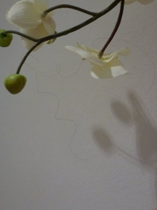 Zi. 201 fremdes Haar im Bad ( eklig ) Hotel Logierhus Langeoog