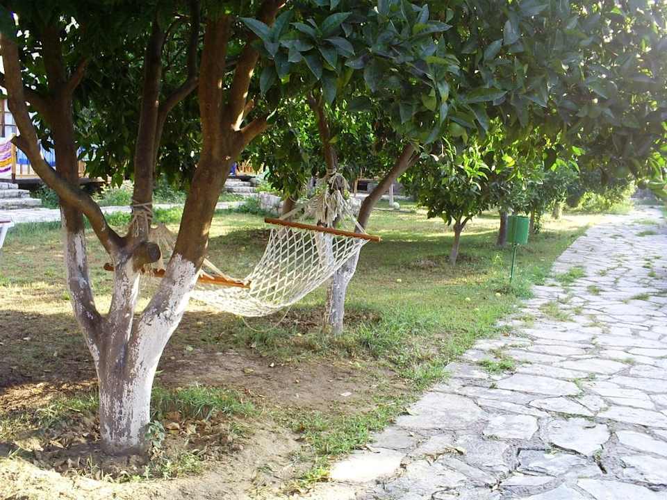 Gartenanlage Clover Magic Nova Beach