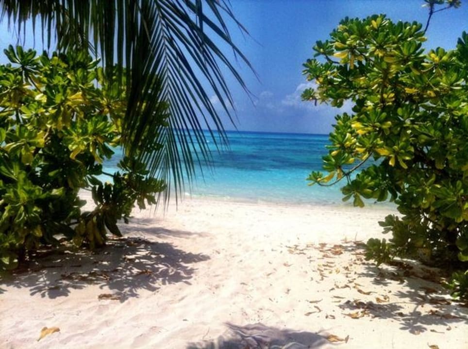 Blick von Beachvilla Kuredu Island Resort & Spa