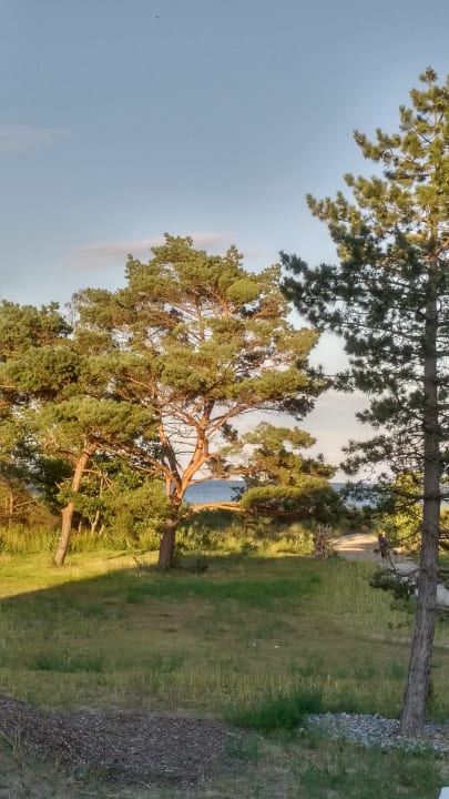 "Gartenanlage" Santé Royale Rügen Resort (Göhren auf Rügen