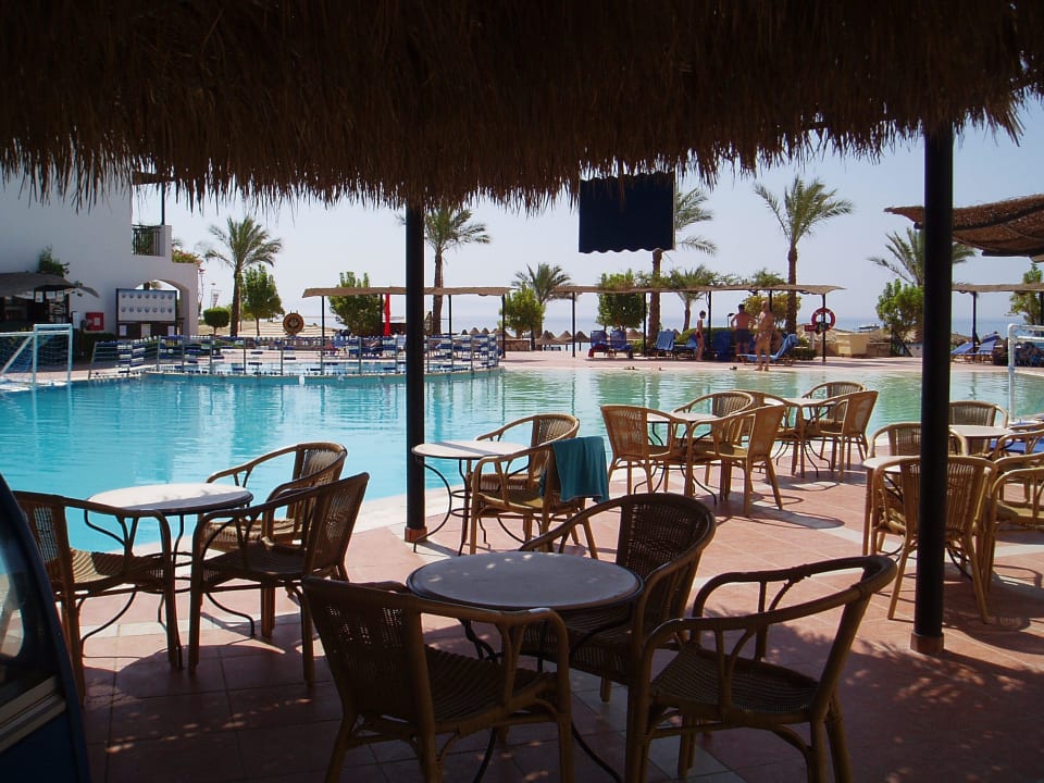 Poolbar JAZ Dahabeya