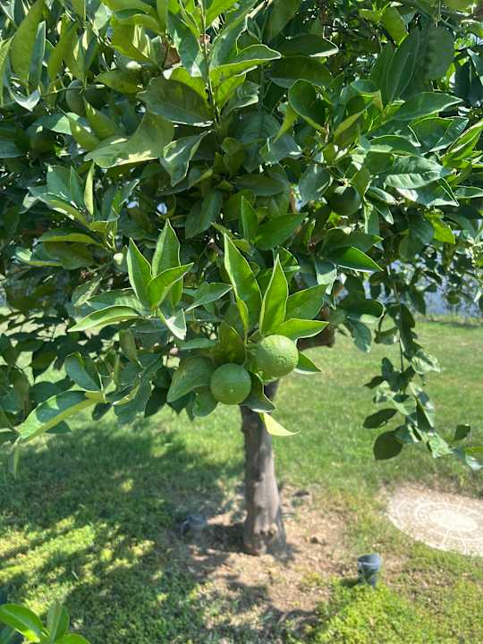 Gartenanlage Dream Water World