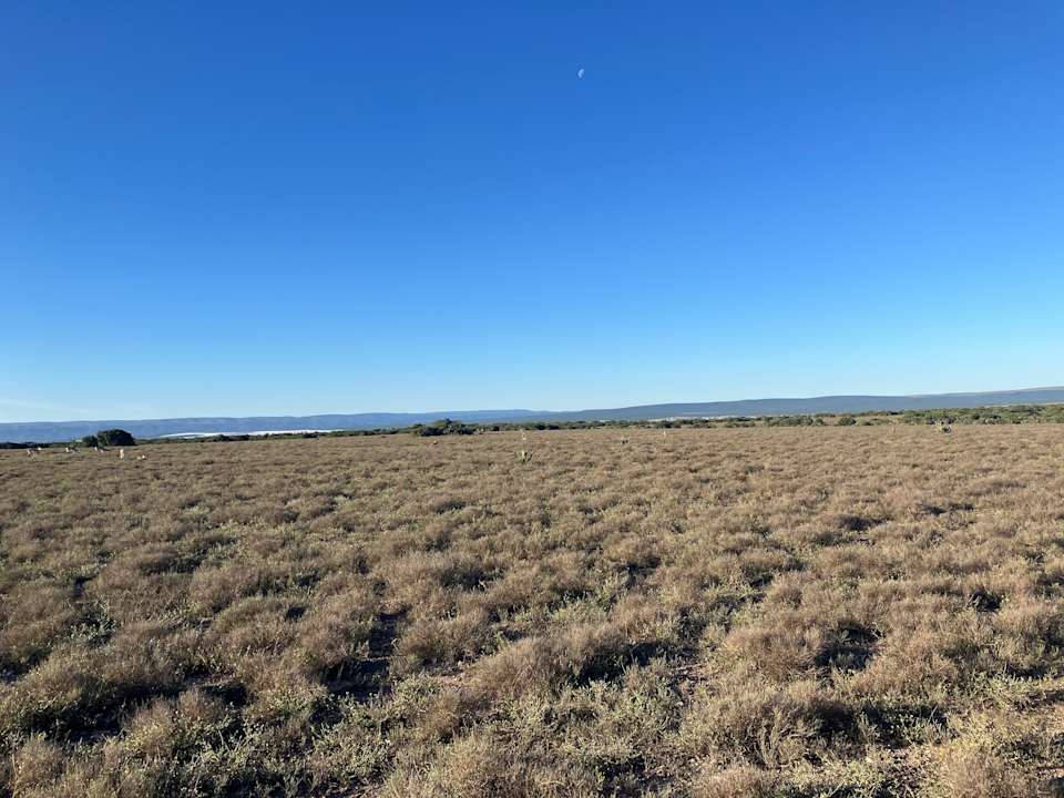 Sonstiges Addo Wildlife