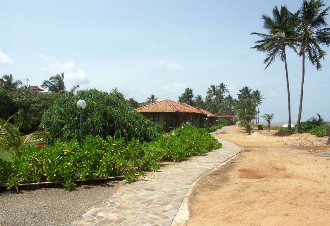 Bungalows in Strandnähe Club Hotel Dolphin
