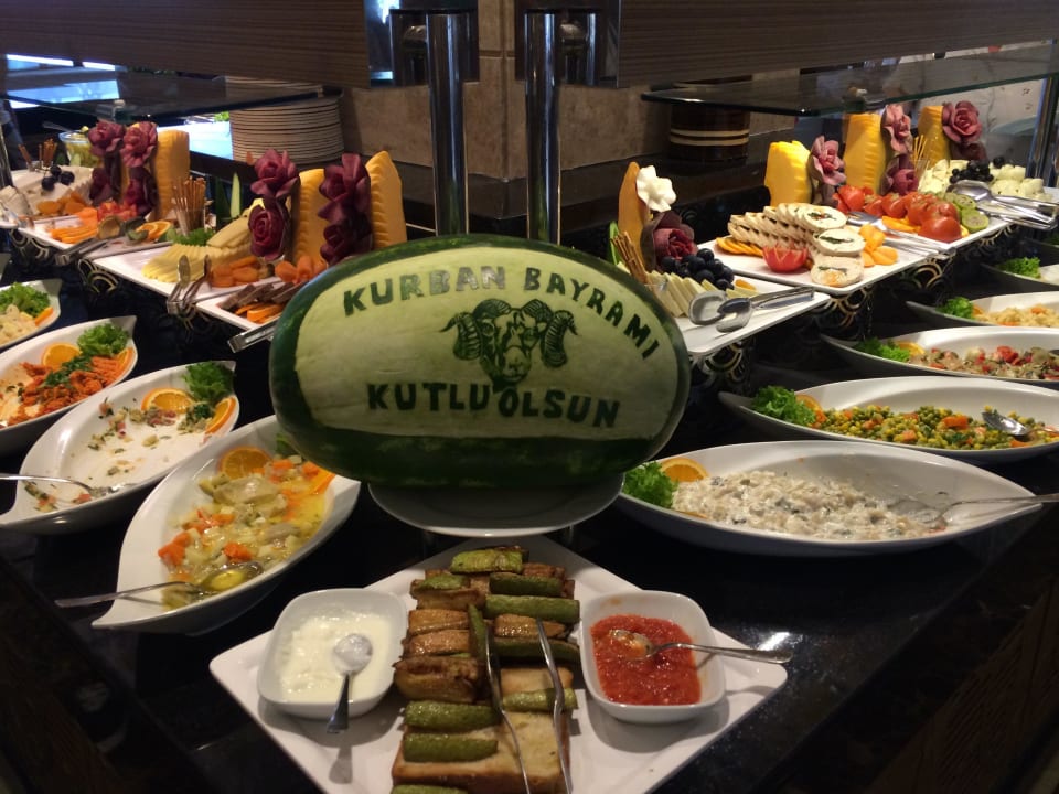 Wunderschönes Essen Papillon Ayscha