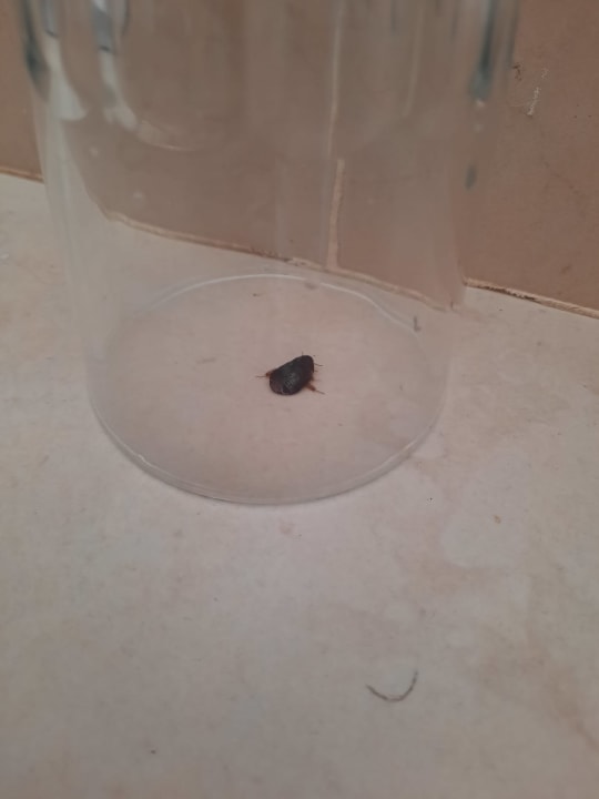 Zimmer Hotel Las Costas