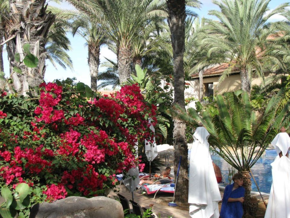 Üppige Pflanzenpracht Lopesan Costa Meloneras, Resort & Spa