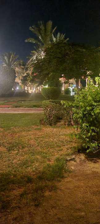 Ausblick Serenity Alpha Beach