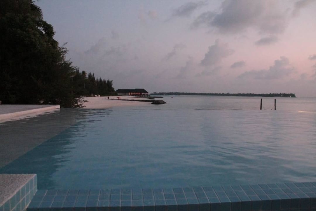 Pool Summer Island Maldives