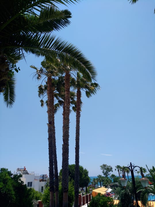 Außenansicht Hotel Thalia Unique