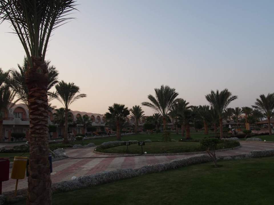 Teren hotelu Three Corners Sea Beach Resort