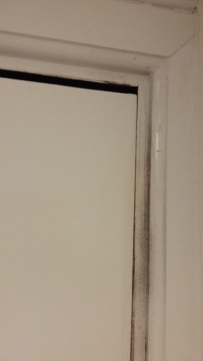 Zimmer allsun App.-Hotel Albatros