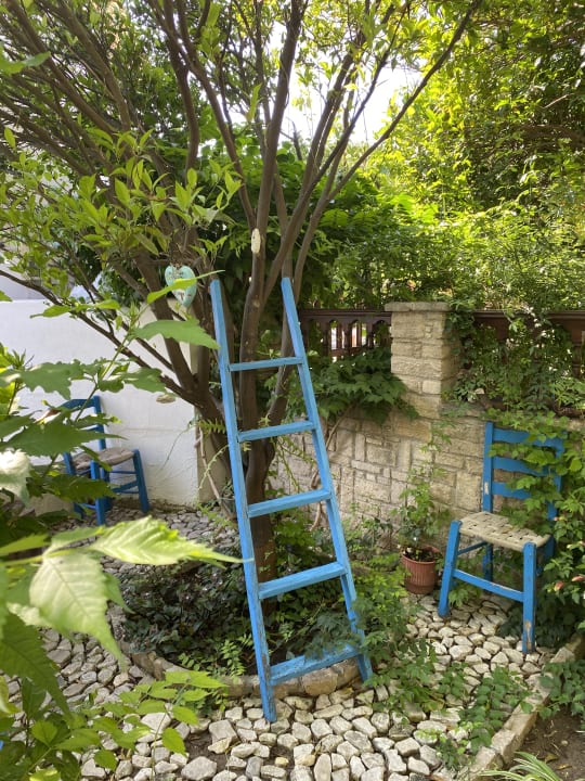 Gartenanlage Hotel Golden Sun