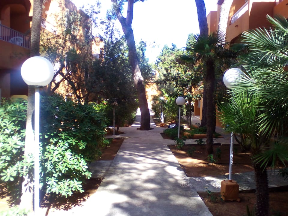 Sonstiges HSM Club Torre Blanca