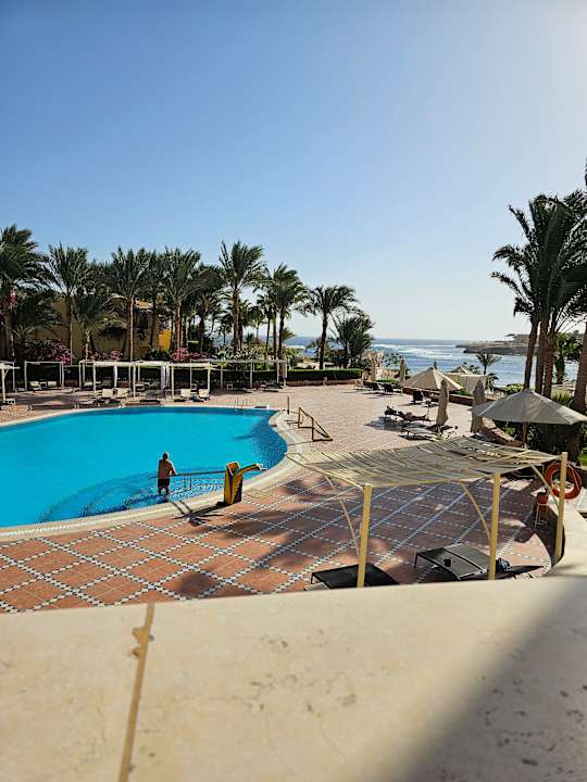 Pool Steigenberger Coraya Beach - Adults only