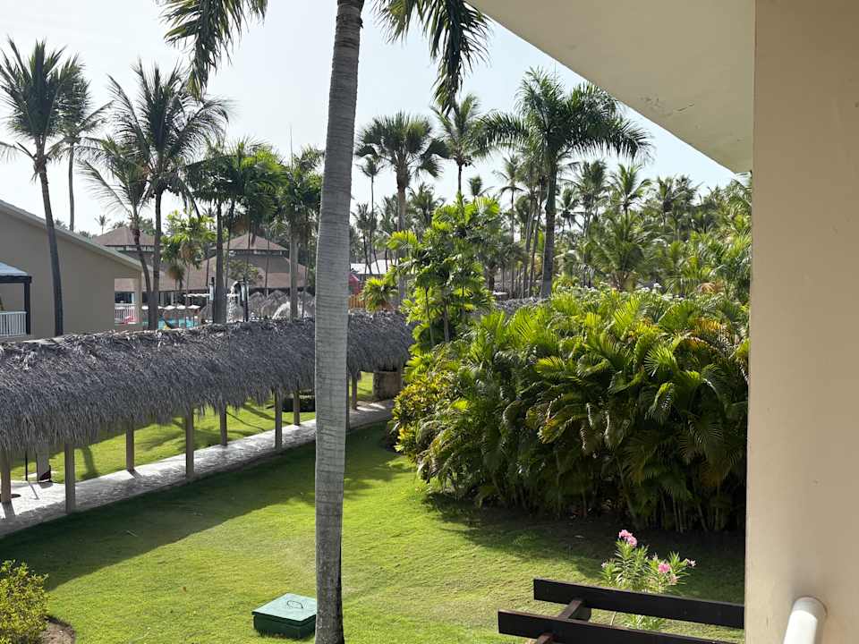 Zimmer Grand Palladium Punta Cana Resort & Spa