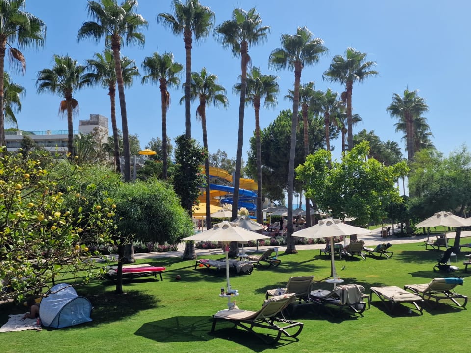 Gartenanlage Arum Barut Collection