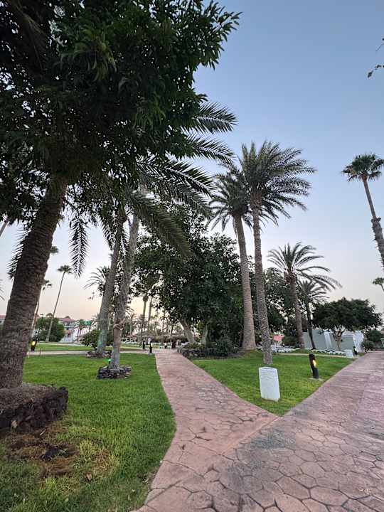 Gartenanlage Aldiana Club Fuerteventura