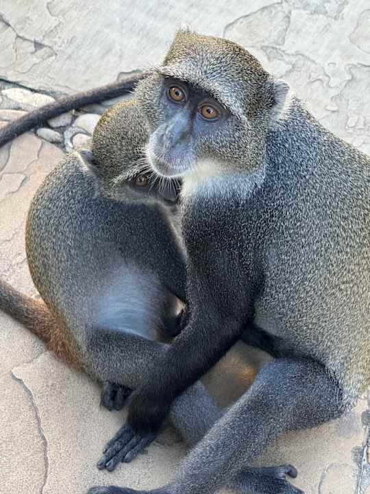 Außenansicht Neptune Palm Beach Boutique Resort & Spa