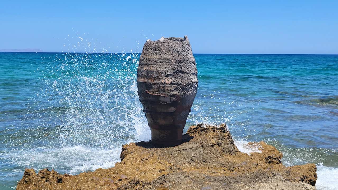 Sonstiges allsun Hotel Carolina Mare